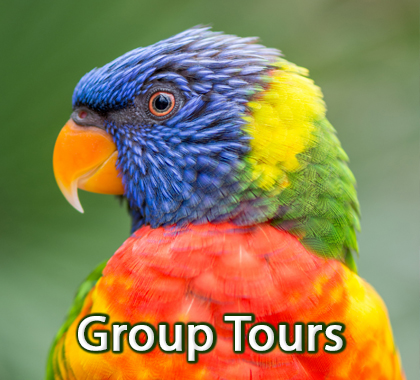 Group Tours